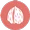 Frutos con cáscara